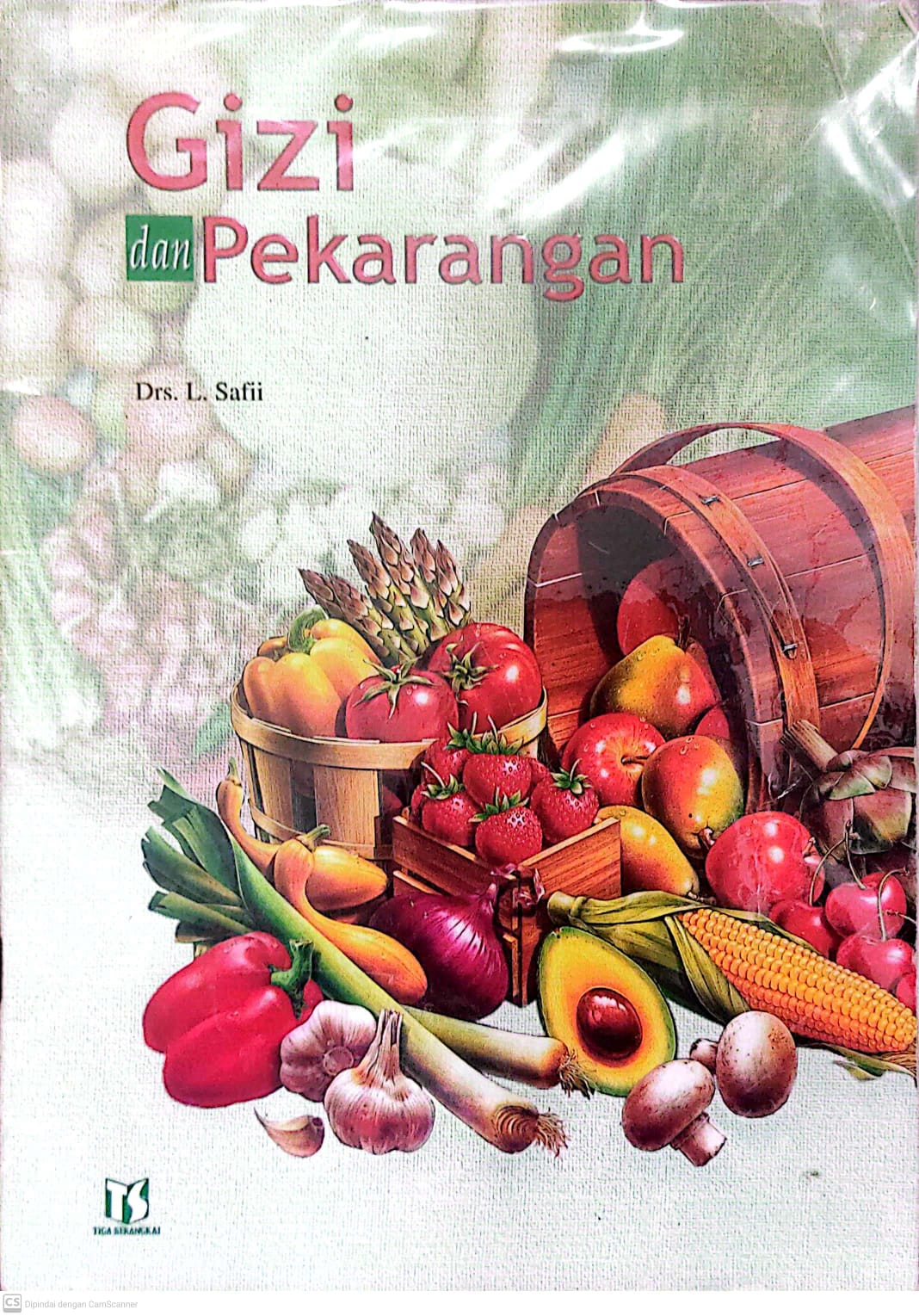 Gizi dan Pekarangan