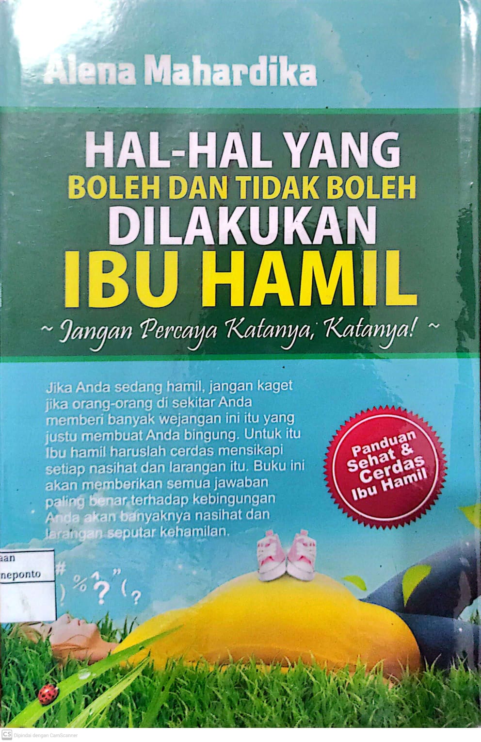Hal-hal Yang Boleh dan Tidak Boleh dilakukan Ibu Hamil